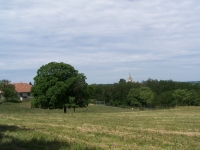 Nagygörbõ eladó mezõgazdasági terület 11.000m2-es ingatlan 180 m2-es házzal ingatlan hirdetéshez feltöltött kép